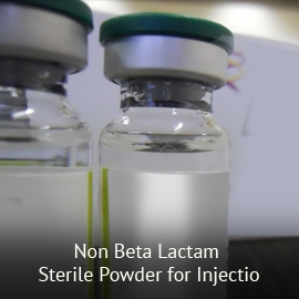 Non Beta Lactam Sterile Powder For Injection